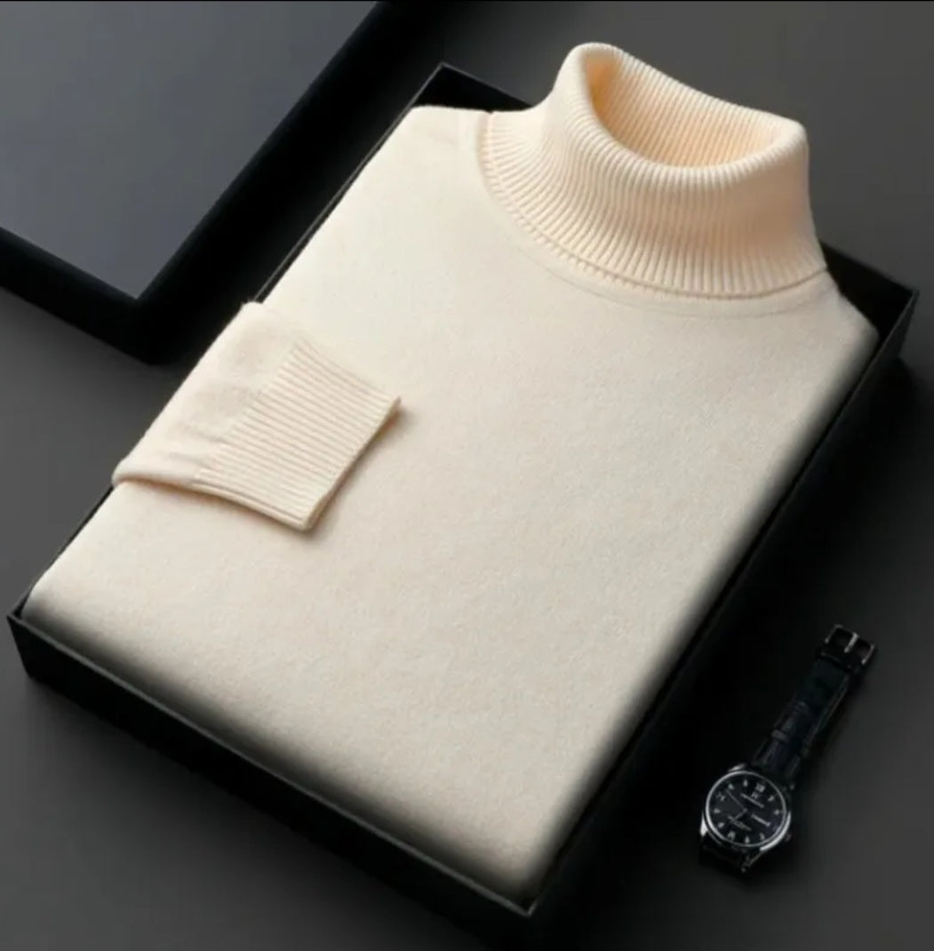 ELEGANT FOLDED TURTLENEK